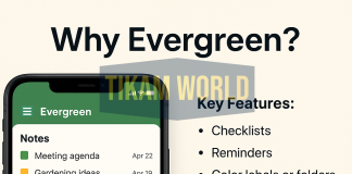 Evergreen Notes & To-Do List App: Best Productivity Tool for 2025 Evergreen Notes & To-Do List App: Best Productivity Tool for 2025